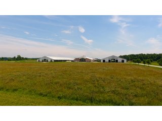 Property photo 8 - OHIO DAIRY DISPERSAL AUCTION - 160+/- ACRES OFFERED IN 5 TRACTS IN DEFIANCE COUNTY, OHIO